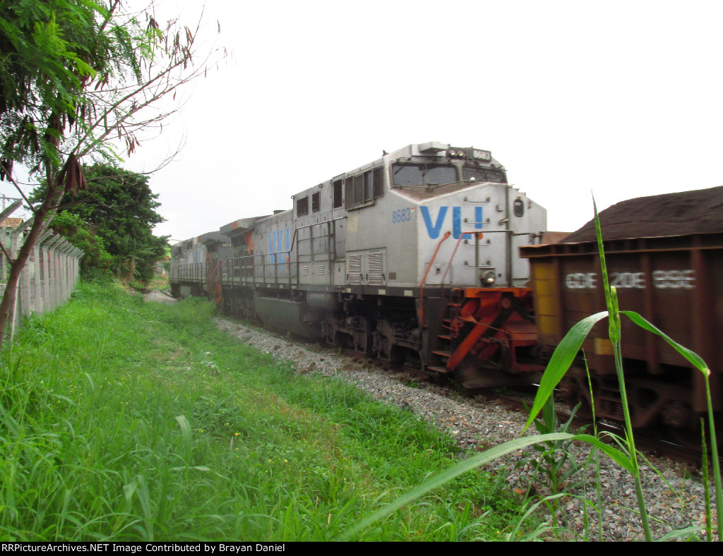 VLI 8683